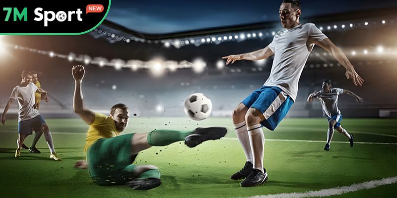 Điều khoản dịch vụ 1 Thông tin cơ bản về điều khoản dịch vụ ở 7M