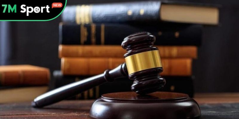 Điều khoản dịch vụ 3 Quy tắc hỗ trợ vấn đề phát sinh ở 7M