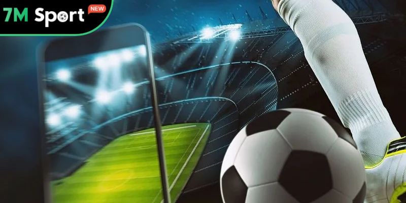 Những lợi ích chỉ có thể tìm thấy ở danh mục