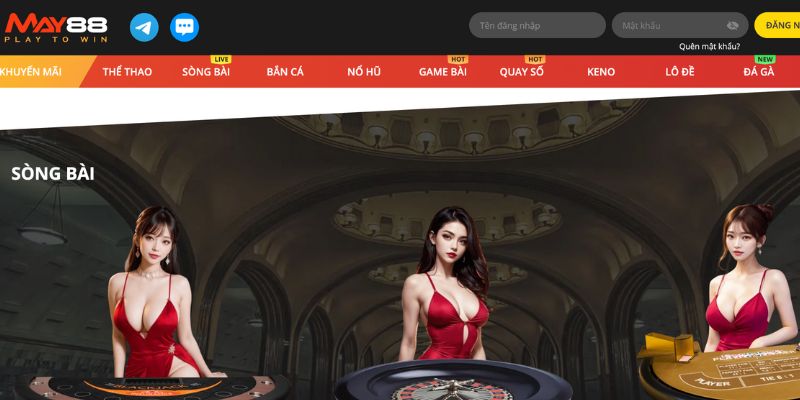 Khuyến mãi ưu đãi dành cho các thành viên